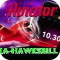 antigua hawksbill Apps (Tools & Injectors) Deluxe v2.3.6