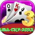 asia cup 2022 Gold Edition v1.2.6