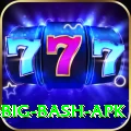bbl big bash apk Apps (Tools & Injectors) Gold v4.1.4