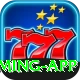 betandyou88.pk Max Gaming App