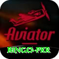 Bingo PKR Apps (Tools & Injectors) Master v3.1.6