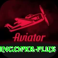 bingopkr Deluxe Pro v5.0.3