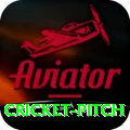 cricket pitch Apps (Tools & Injectors) Elite v2.7.9