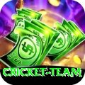 cricket team Plus