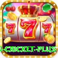 fastest ball in cricket Champion - Free Download