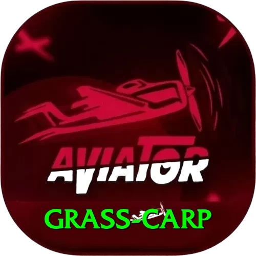 grass carp Apps (Tools & Injectors) Elite v3.3.6 - 2