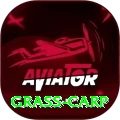 grass carp Apps (Tools & Injectors) Elite v3.3.6