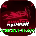 hong kong cricket team Pro Max v1.8.3