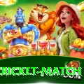 india cricket match Pro1 v5.3.8