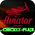 international cricket - Slots Super