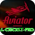 international cricket Ultimate Slots