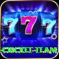 ireland cricket team VIP Edition v2.4.2