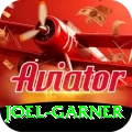 joel garner Pro Edition v2.1.4