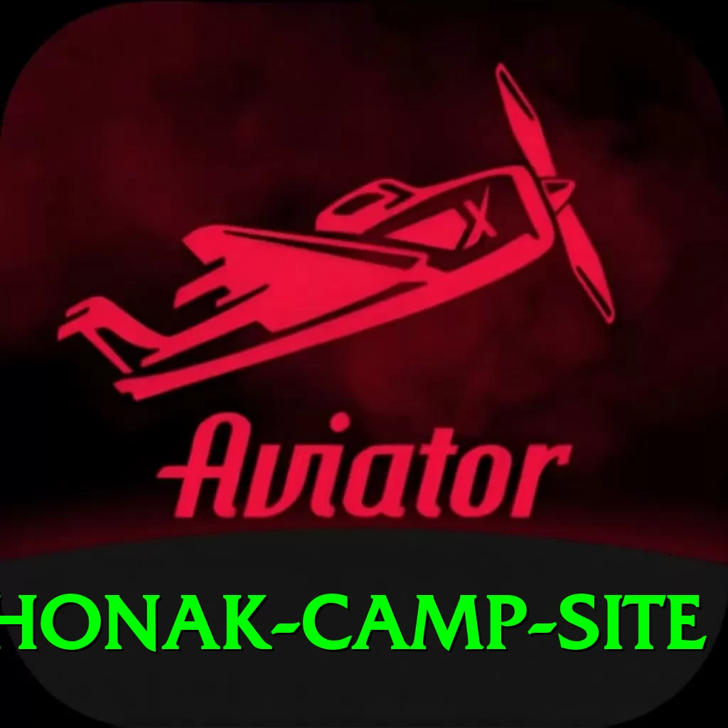 lhonak camp site Pro1 v3.6.5 - 2