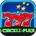most centuries in cricket Slot Machine Royal