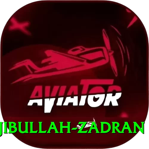 najibullah zadran Games (Casino & Earning) Max v3.5.8 - 2