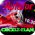 pakistan women cricket team Apps (Tools & Injectors) Master v1.9.5
