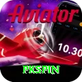 pkspin Pro Edition v2.1.3