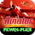 pkwin Premium v2.6.7