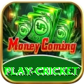 play cricket Plus v5.8.7
