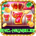 powerball winning numbers VIP v2.2.0