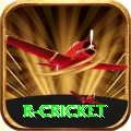 r cricket VIP Pro v1.0.0