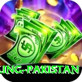 responsible gambling pakistan Games (Casino & Earning) Max v5.2.4