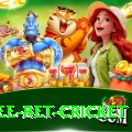 risk free bet cricket Master Pro v4.8.9