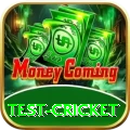 test cricket Plus Pro v4.1.0