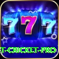 test cricket Prime Rewards