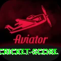 test cricket score Pro1 v2.3.9