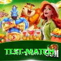 test match Ultimate Pro v1.5.7