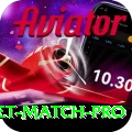 to day cricket match Money Gold v1.9.0
