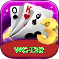 wc t20 Pro Edition v2.3.6