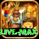 y999 - Live Max