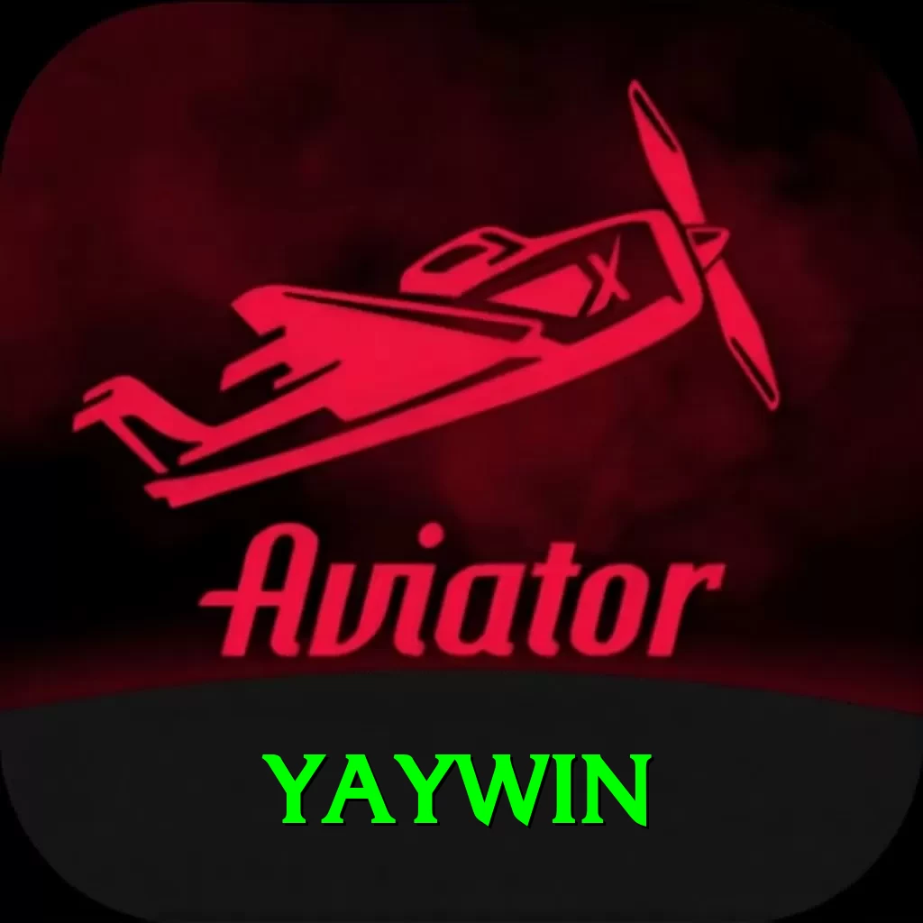 yaywin Pro Edition v2.4.9 - 2